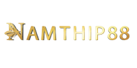 logo_namthip88